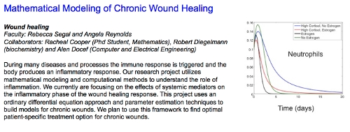 Reynolds_segal_wound_healing